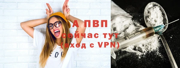 прущие грибы Заволжск