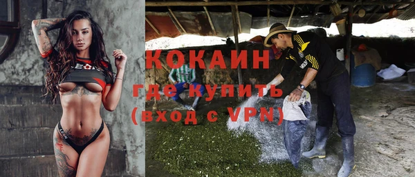 эйфоретик Богданович