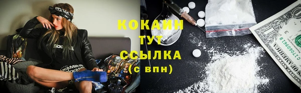 эйфоретик Богданович
