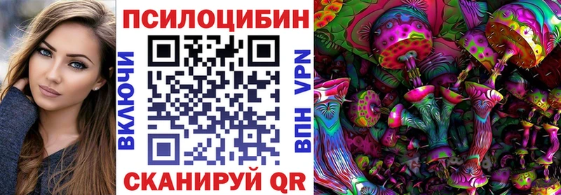 Галлюциногенные грибы Psilocybe закладка Пестово